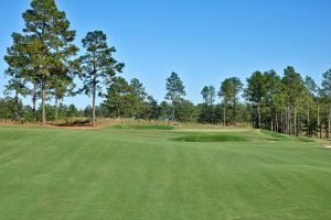 Tree Farm 7th Approach